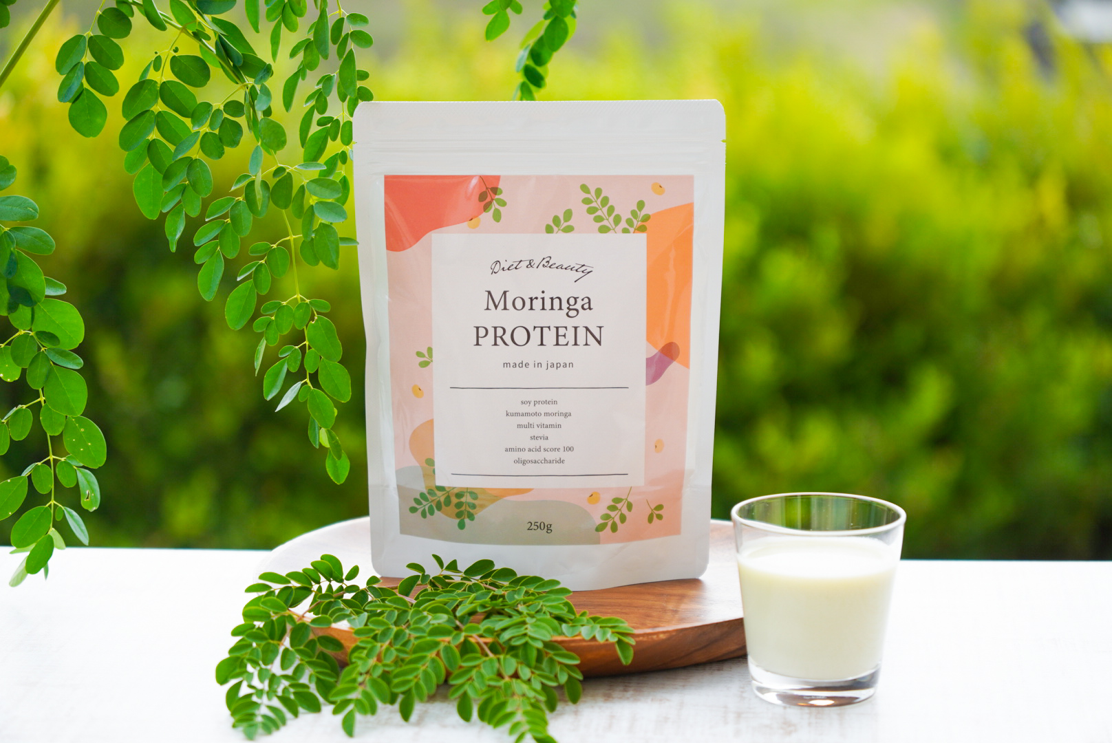 moringa-protein